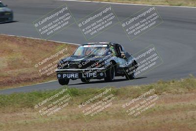 media/May-04-2024-Lucky Dog Racing (Sat) [[d39539b3f3]]/Race Pics/1015am (Turn 2)/